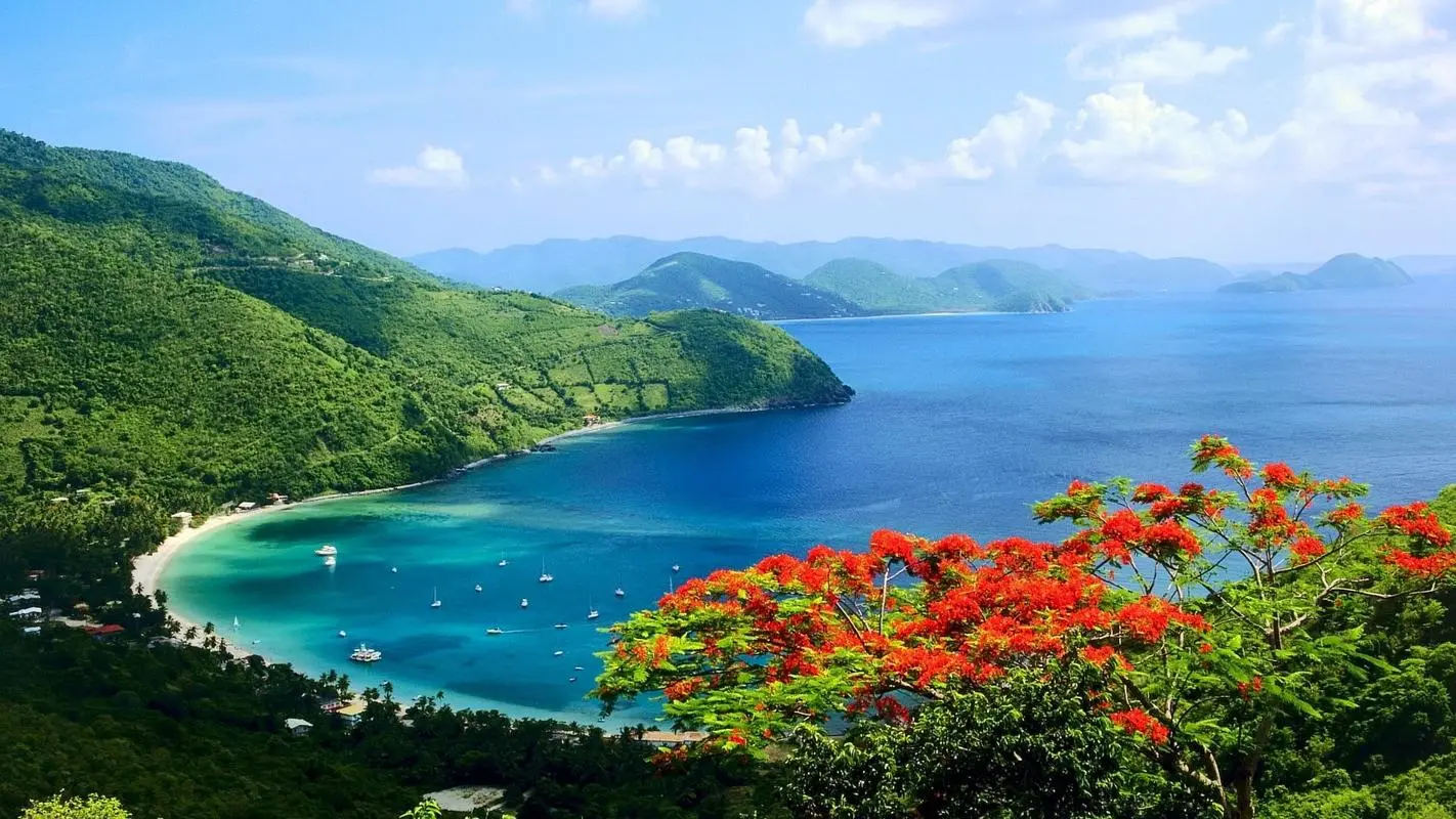 节能高质量自动化